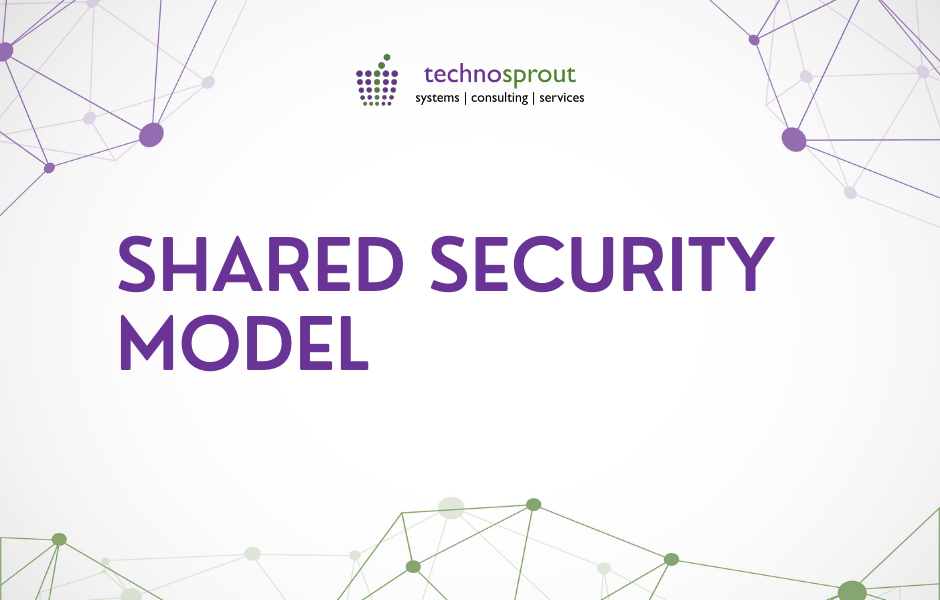 Shared security model | cloud security