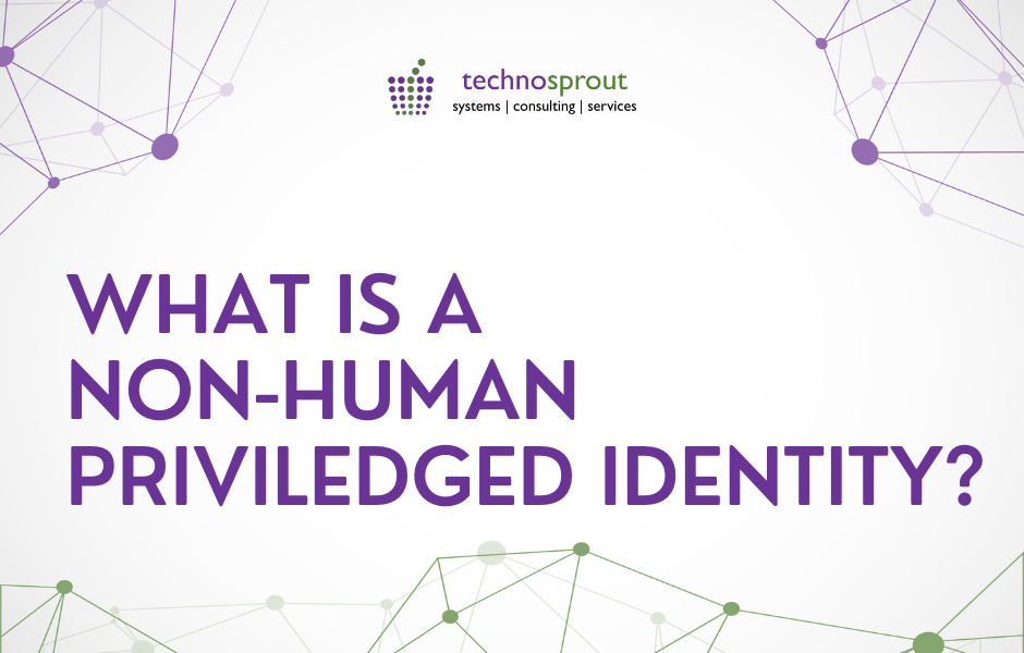 What is a non human privileged identity | cloud security