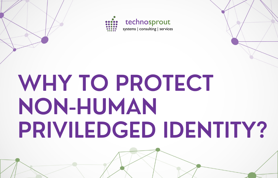 Why to protect non human privileged identities | cloud security